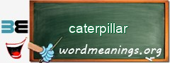 WordMeaning blackboard for caterpillar